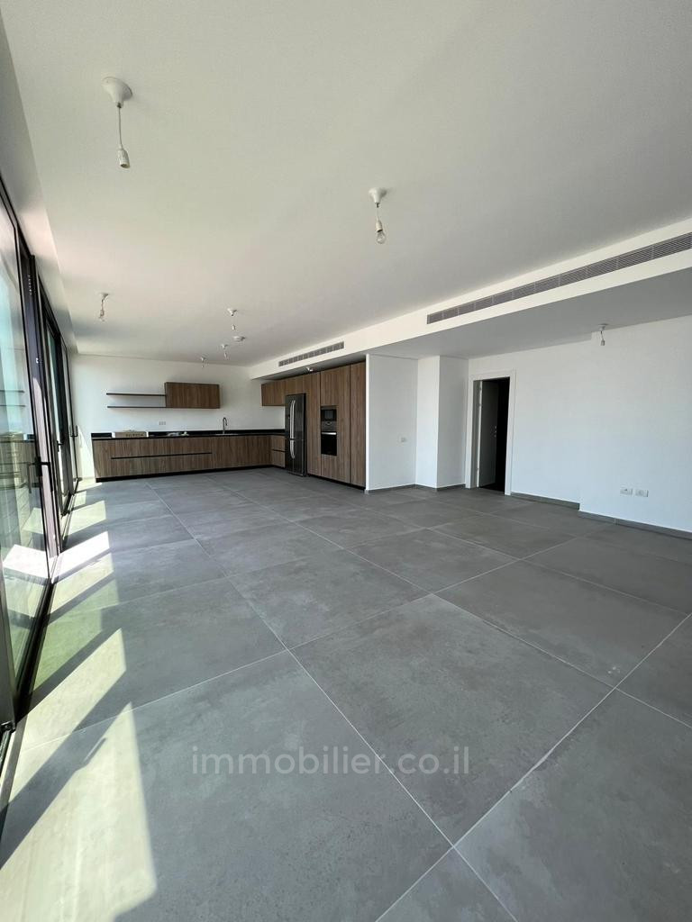 Duplex-Penthouse 4 rooms Tel Aviv Kerem Hatemanim 457-IBL-1158