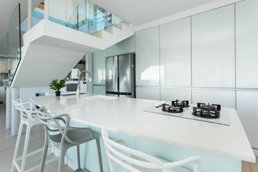 Duplex-Penthouse 4.5 rooms Tel Aviv First sea line 457-IBL-668