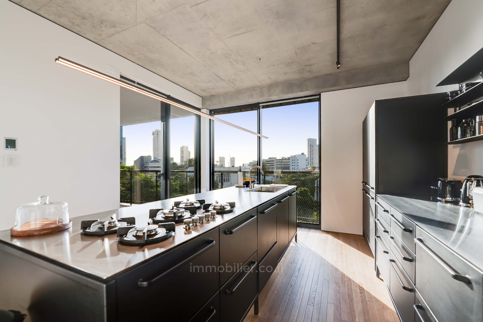 Apartment 4 rooms Tel Aviv Rothshild 828-IBL-96